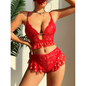 Valentine's Day Special! Red Heart Lingerie Set with Lace and Push-Up Bra |   2-Piece Set for Women
