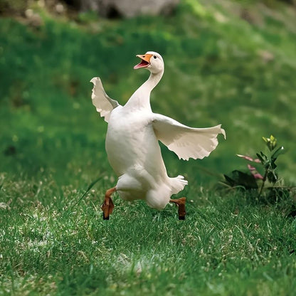 A Cute Goose Acrylic Garden Stake Lawn Bonsai Decoration Floor Outlet Flowerpot Embellishment Beautification Props